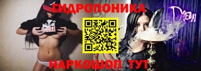 ECSTASY Будённовск