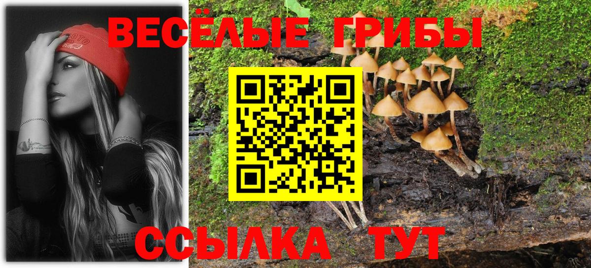Галлюциногенные грибы мицелий  Вход с VPN  Псилоцибиновые грибы Psilocybine cubensis  Семёнов 