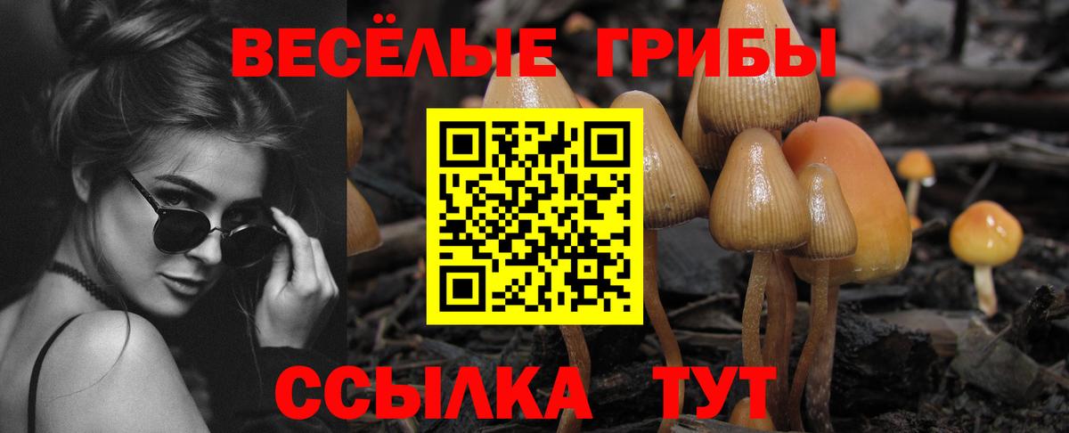 Галлюциногенные грибы мицелий Семёнов